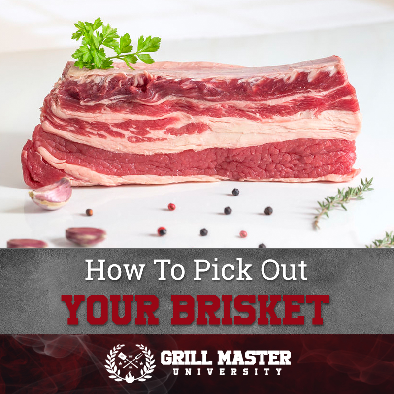 The Price Science How Much To Pay For Brisket